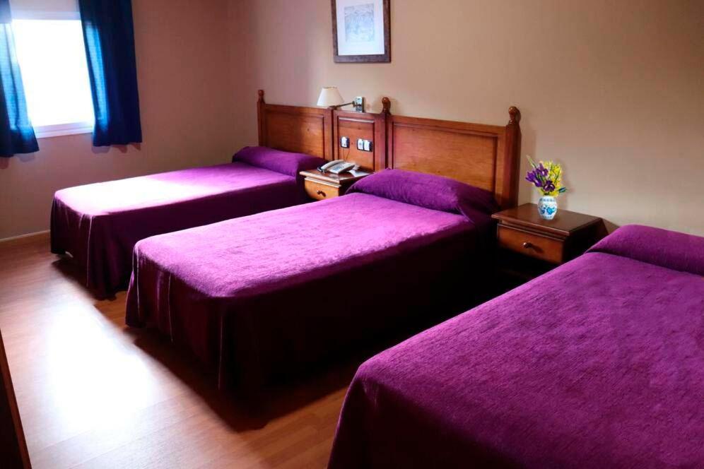 Hotel Venta El Molino Alcazar de San Juan Εξωτερικό φωτογραφία